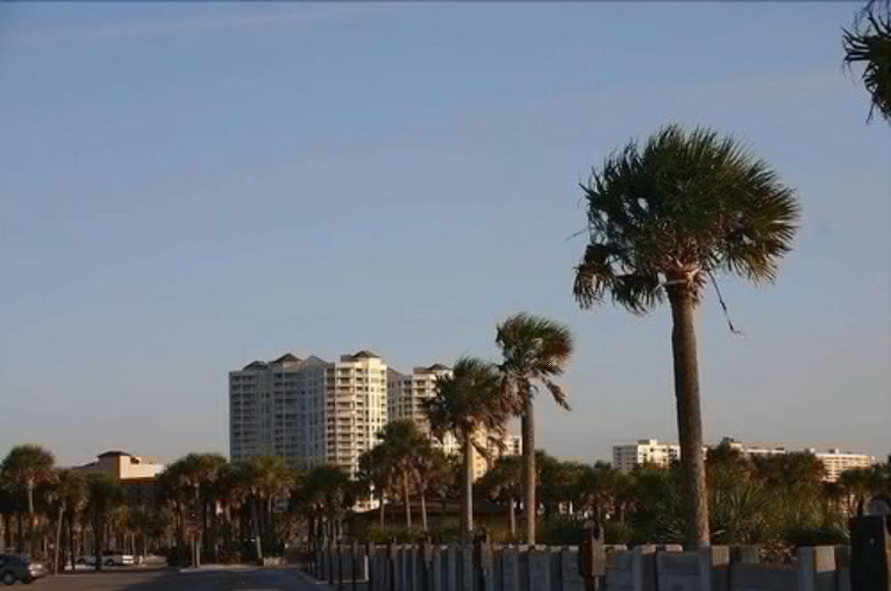 햄튼 인 네이플스 센트럴 호텔 North North Naples 외부 사진